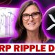 XRP AND RIPPLE *DONE* (''XRP WILL CHANGE THE WORLD''!?!?)