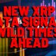 XRP: Surprising New XRP Data Indicates IT'S ABOUT TO GET WILD