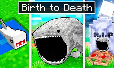 BIRTH to DEATH of a BLOOP in Minecraft!
