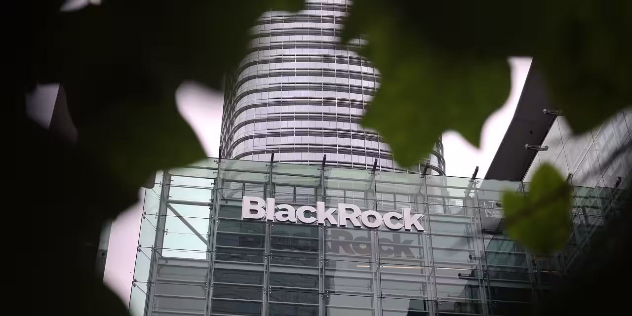BlackRock Stock Tumbles as Flagship Private Credit Firm Limits Redemptions