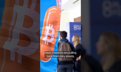 Why Did Bitcoin crash and when will #crypto recover? #shorts