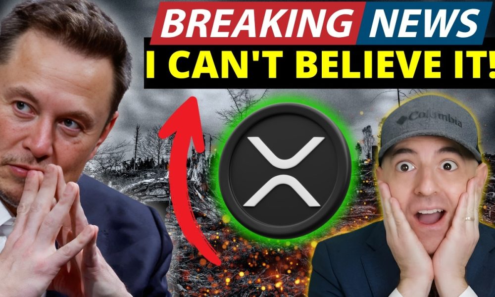 XRP - Elon Musk Makes Surprising Move! The Real Reason Xrp And Crypto Pumping!