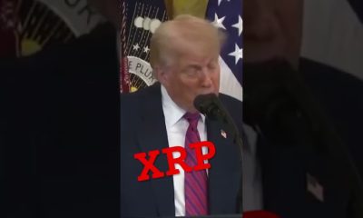 XRP WILL “UPGRADE” THE FINANCIAL SYSTEM! - Molt Media