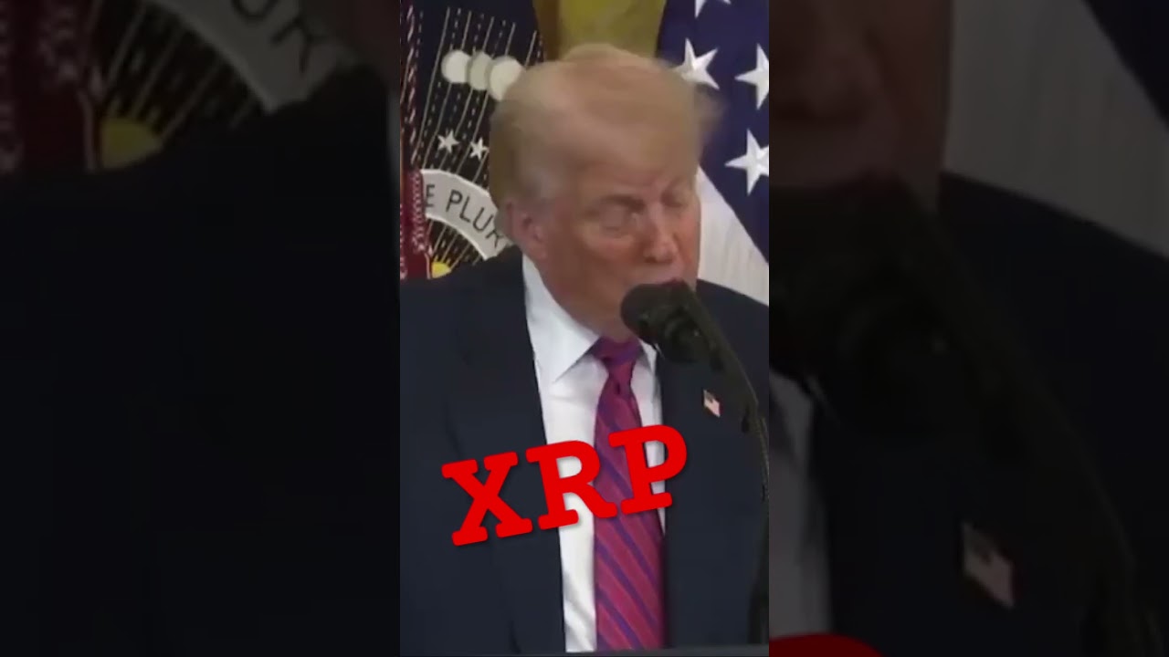 XRP WILL “UPGRADE” THE FINANCIAL SYSTEM! - Molt Media