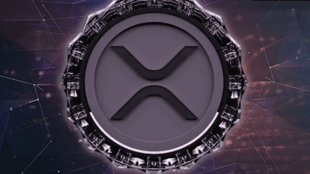 XRP MR POOL !!!! XRP CAN NEVER BE 589 !!!! ELITES WANT THEIR PLANS DONE !!!!