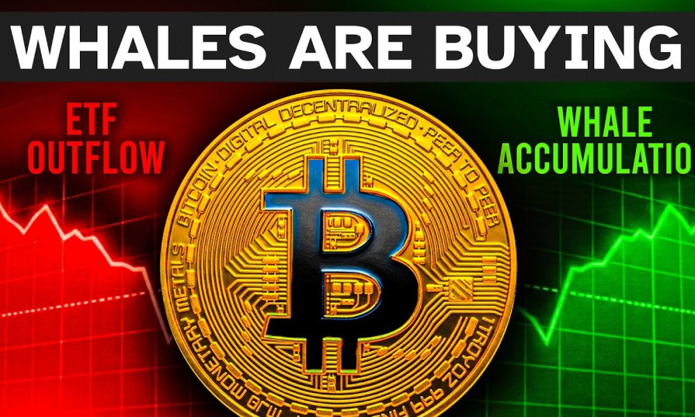 The ETF Lie Is Hiding Bitcoin's Bottom