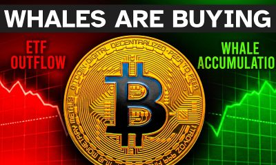 The ETF Lie Is Hiding Bitcoin's Bottom