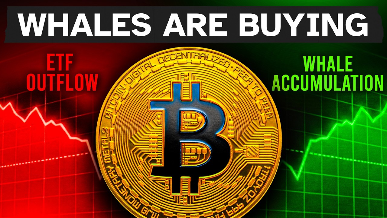 The ETF Lie Is Hiding Bitcoin's Bottom