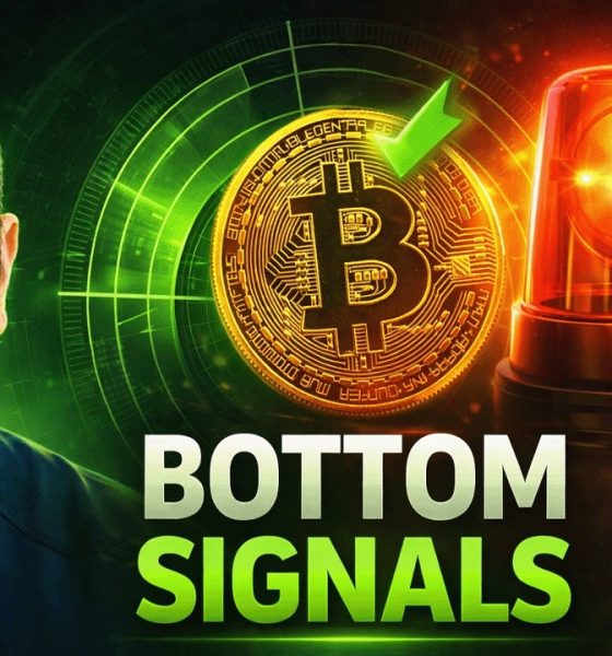 Bitcoin Bottom Signals Are Screaming Right Now (4 Charts Prove It)