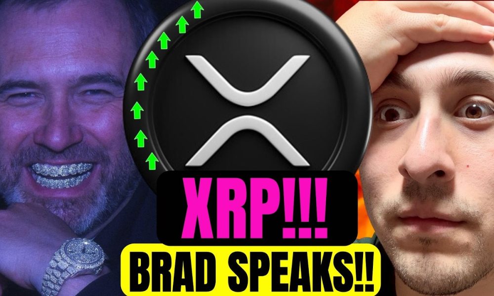 Ripple CEO Wants to FLIP the Switch XRP HOLDERS!!!