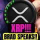 Ripple CEO Wants to FLIP the Switch XRP HOLDERS!!!