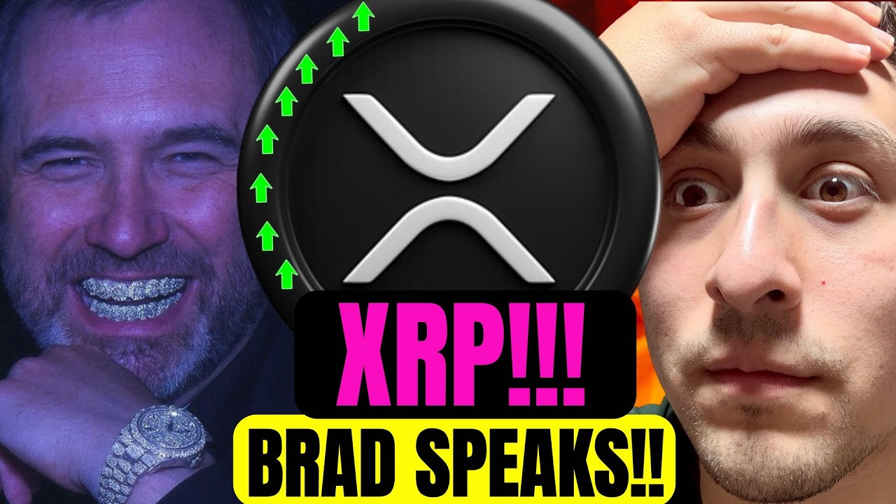 Ripple CEO Wants to FLIP the Switch XRP HOLDERS!!!