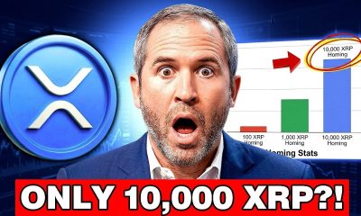 XRP NEWS TODAY: 10,000 XRP: Brad Finally Revealed the Number That Changes Everything