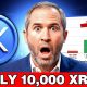 XRP NEWS TODAY: 10,000 XRP: Brad Finally Revealed the Number That Changes Everything