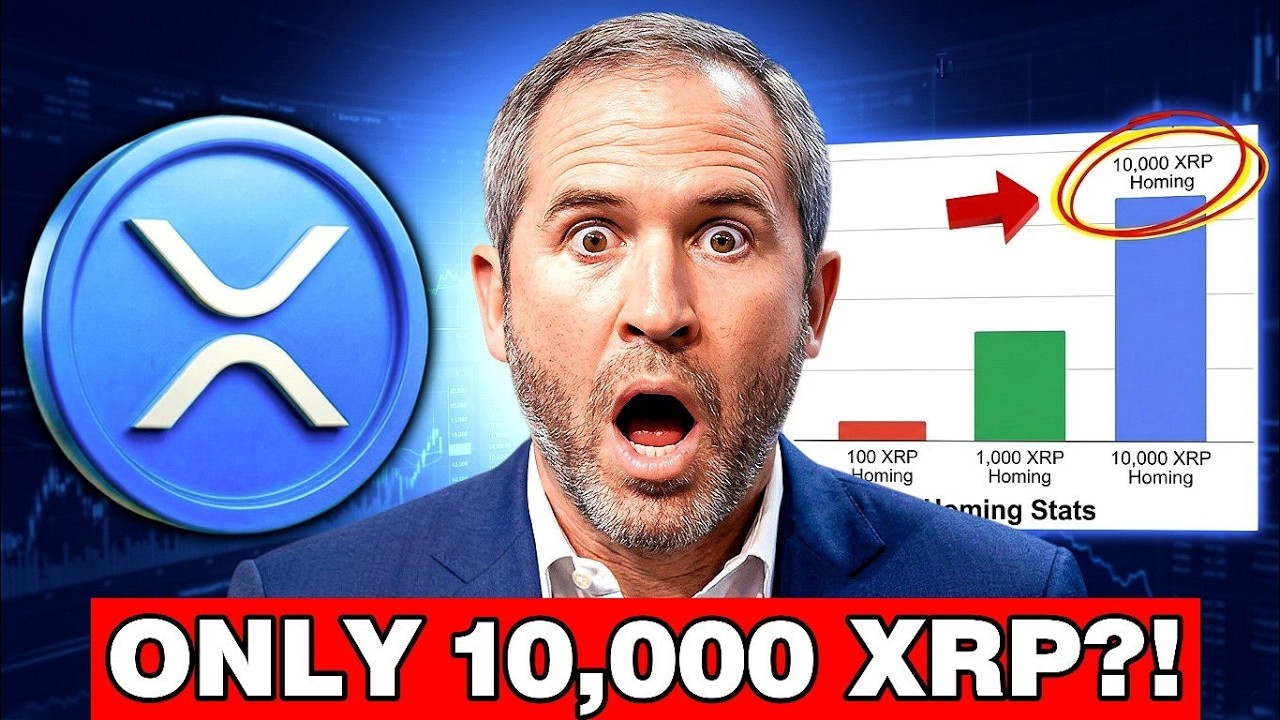 XRP NEWS TODAY: 10,000 XRP: Brad Finally Revealed the Number That Changes Everything