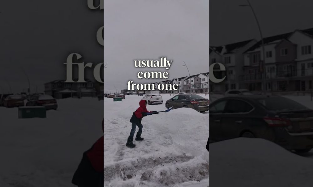 Build Real Financial Success!#NewToCanada #newimmigrantsincanada #immigrantlife #financialsuccess