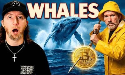 Why The Bitcoin Whales Are About To Eat You Alive