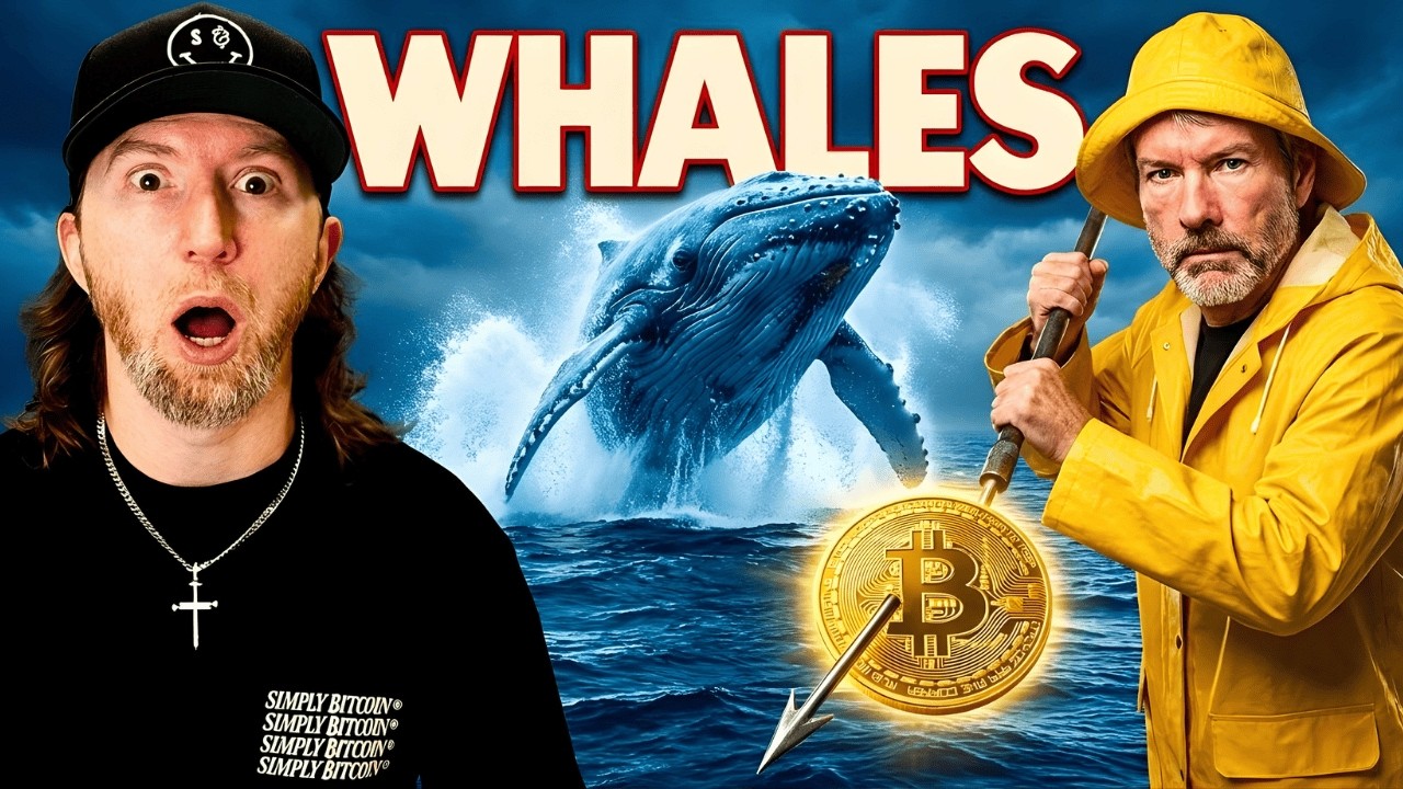 Why The Bitcoin Whales Are About To Eat You Alive