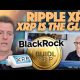 BUIDL Is Tokenizing Using Ripple’s XRP & Infanger Says XRP Is The Glue For The New Financial System