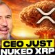THE RIPPLE CEO JUST NUKED XRP... (''XRP WAS BUILT FOR THIS'')