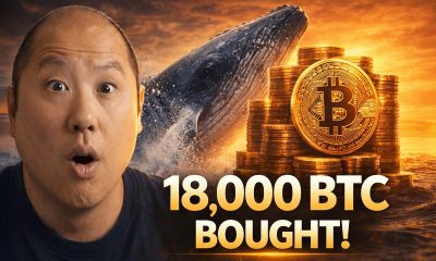 This Bitcoin Whale Just Bought 18,000 BTC