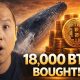 This Bitcoin Whale Just Bought 18,000 BTC