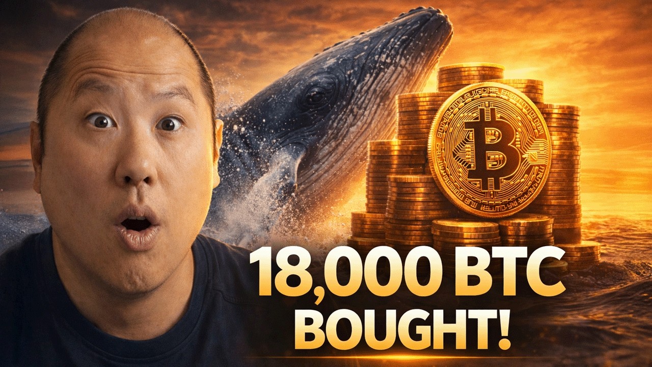 This Bitcoin Whale Just Bought 18,000 BTC