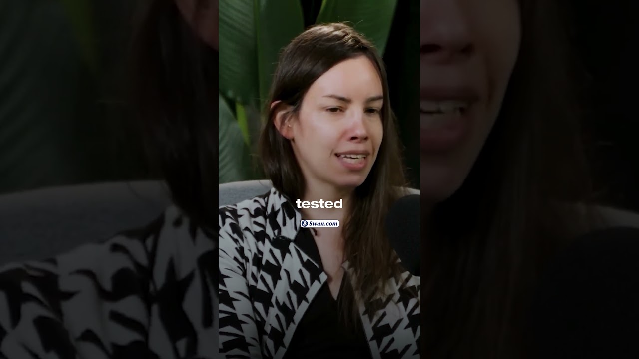 Lyn Alden on Why Bitcoin Didn't Explode This Cycle