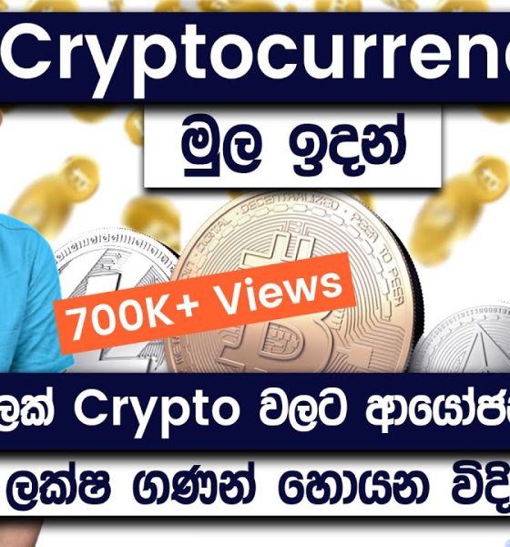 How To Invest In Cryptocurrencies For Beginners | Cryptocurrency Sinhala