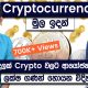 How To Invest In Cryptocurrencies For Beginners | Cryptocurrency Sinhala
