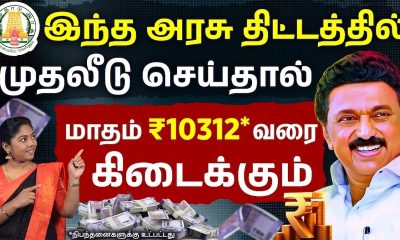 Top Government FD Schemes 2026 | Tamil Nadu Power Finance FD | TNPFC FD | FD Investment Strategy