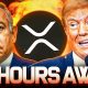 XRP WARNING: MARKET MELTDOWN 24 HOURS AWAY!? (TRUMP IRAN NEWS)