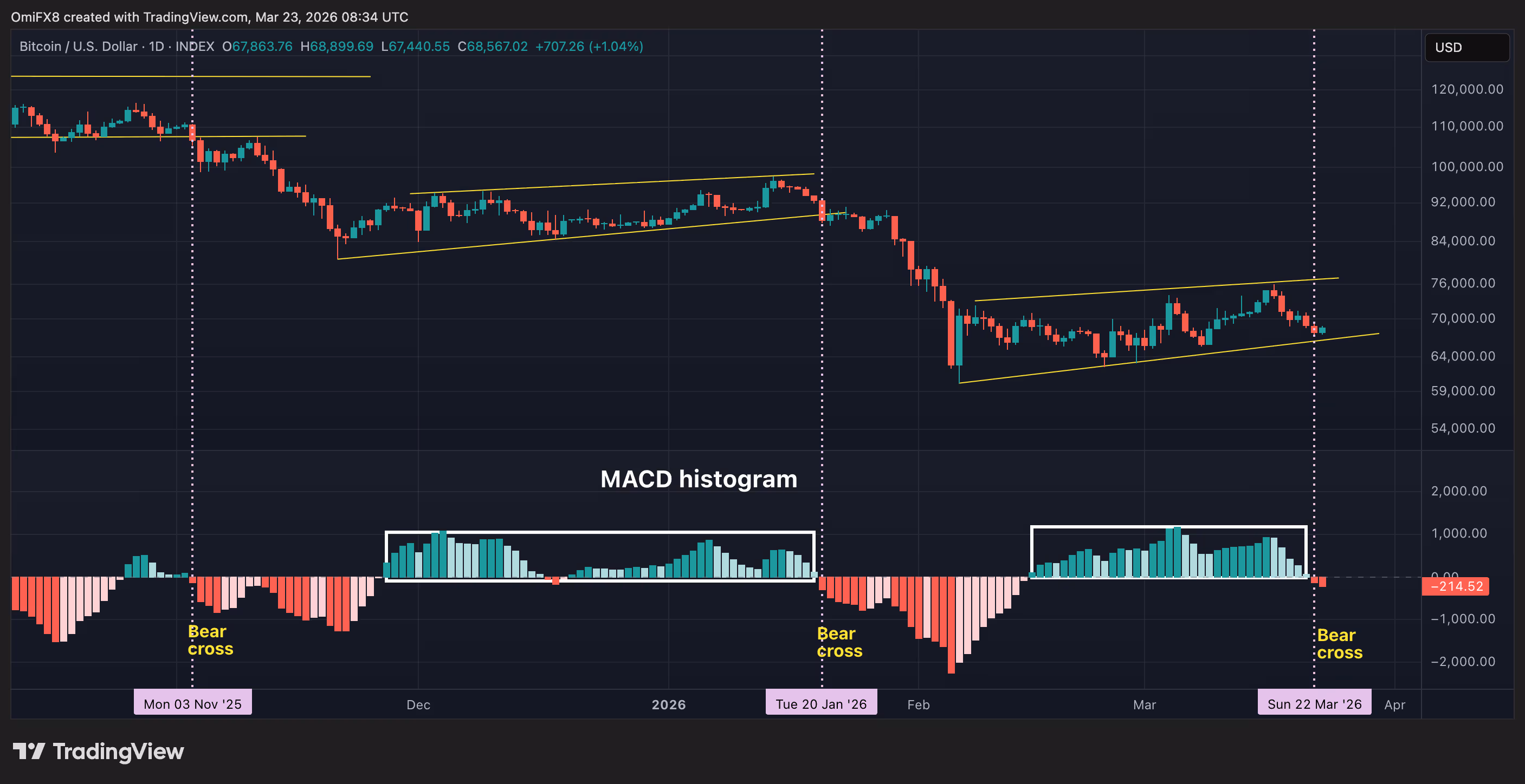 Bitcoin's daily price swings in candlestick format with the MACD histogram. (TradingView)