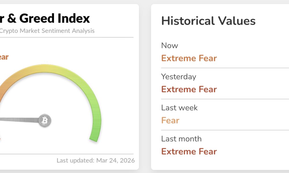 The broader crypto market has underperformed significantly this week despite a bullish Bitcoin price prediction. However,..