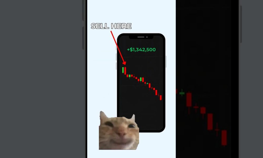 The Strategy That Makes Money During Crashes