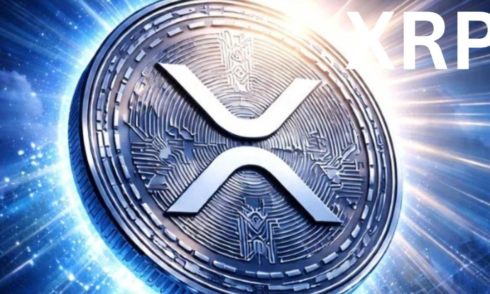 XRP YOU ARE 100% NOT READY !!!!