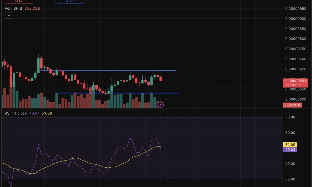 Shiba Inu price is at a technical inflection point, and this is our in-depth prediction as SHIB touched $0.00000623 before pulling back.