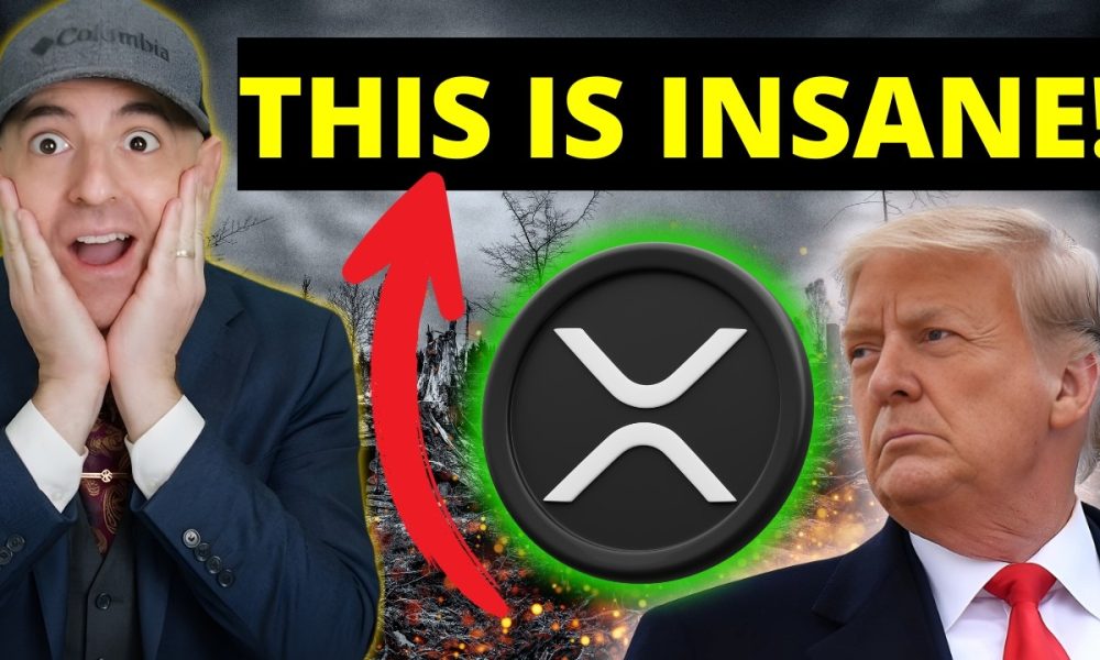 XRP I CAN'T BELIEVE WHAT I AM SEEING! (It All Makes Sense Now!)