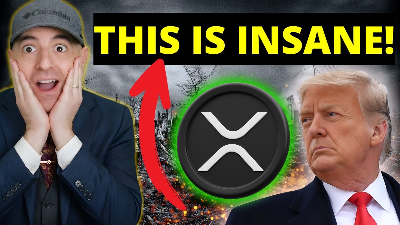 XRP I CAN'T BELIEVE WHAT I AM SEEING! (It All Makes Sense Now!)