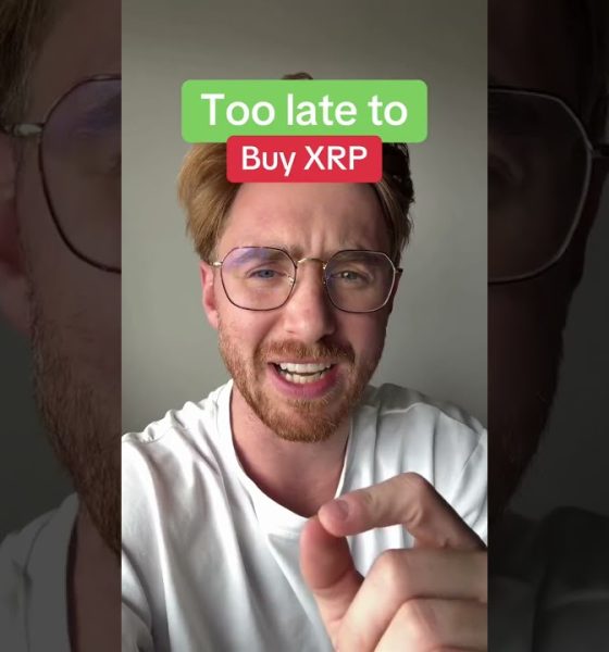 Buy XRP now? Or wait till the dip?