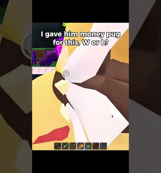 I gave him a money pug for this, W or L? - ( steal a brainrot )