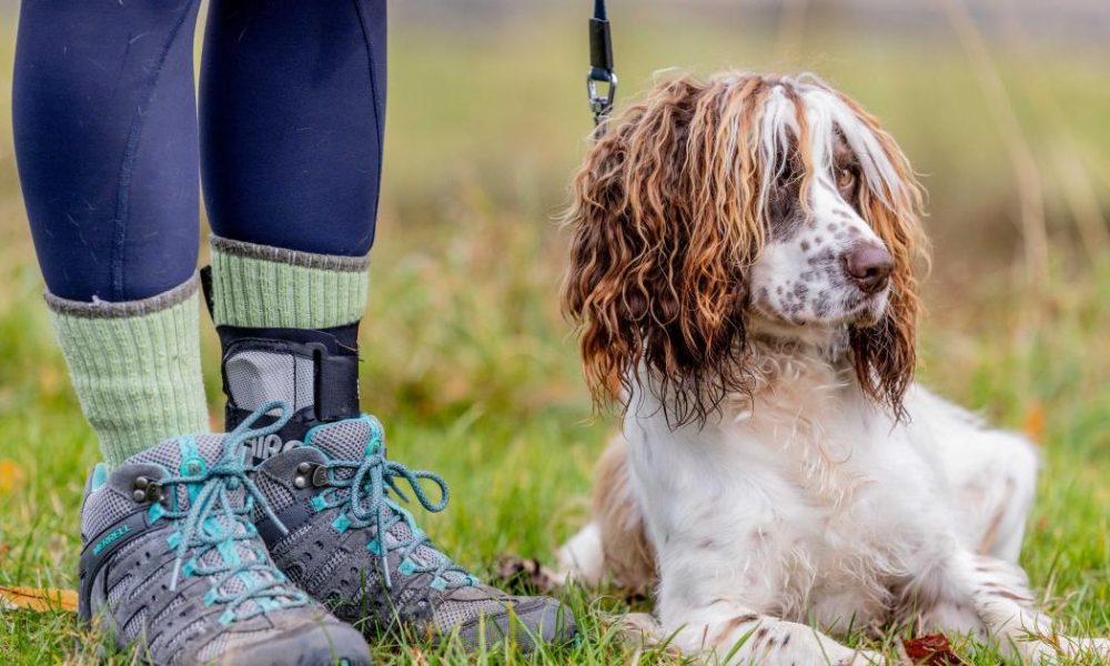 Newcastle florist sells Mothers' Day flowers 'from the dog'