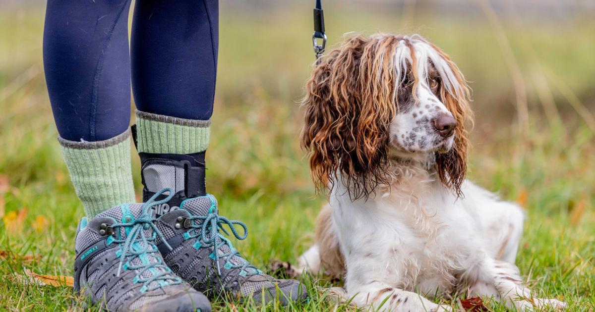 Newcastle florist sells Mothers' Day flowers 'from the dog'