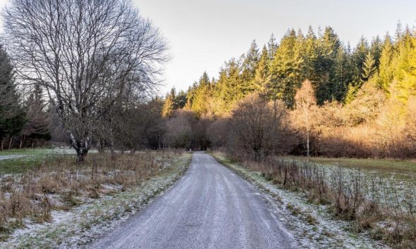 Hamsterley village near Bishop Auckland hailed picturesque hidden gem