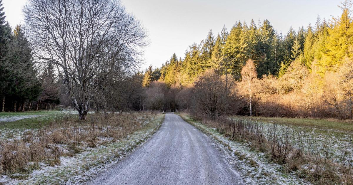Hamsterley village near Bishop Auckland hailed picturesque hidden gem
