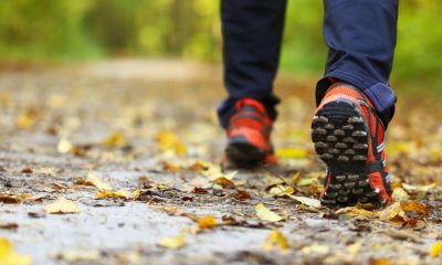 15-mile walk by Tan Hill Inn in aid of Dementia Forward