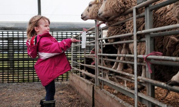 Award-winning Hall Hill Farm in County Durham hiring guides