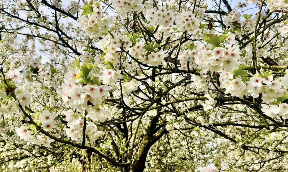Sunshine and clear skies in Bolton ahead of rainy spell
