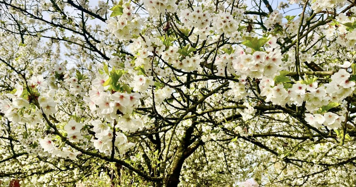 Sunshine and clear skies in Bolton ahead of rainy spell