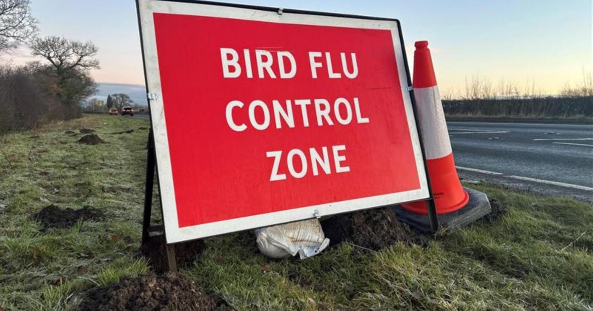 Pickering - surveillance zone set up after bird flu outbreak